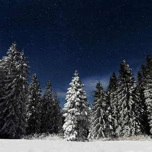 777天堂麻豆爱综合视频
