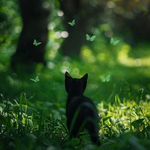 777天堂麻豆爱综合视频
